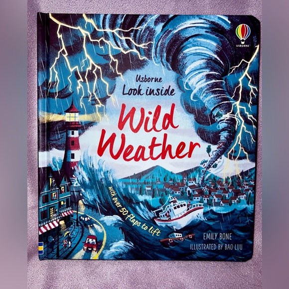 ⚡️Look Inside Wild Weather Flap Book⛈️ - Picture 1 of 6